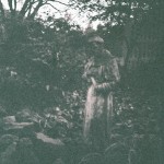 Dodd_Backyard_1