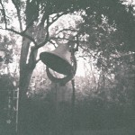 Dodd_Backyard_2