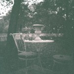 Dodd_Backyard_3